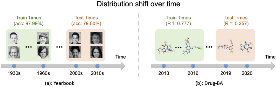 Wild-Time: A Benchmark of In-the-Wild Distribution Shift Over Time 